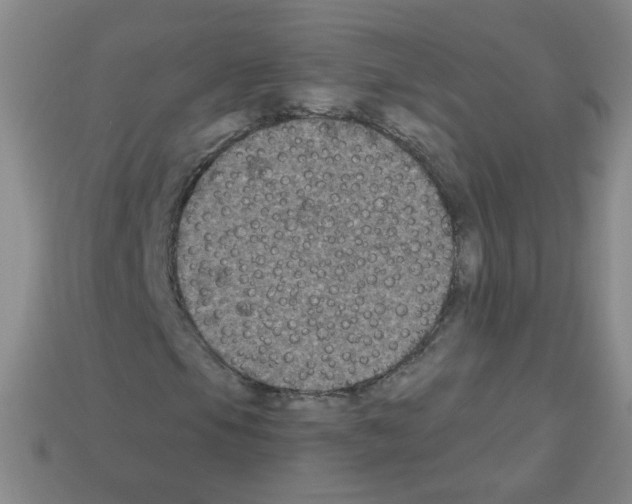 X0000112961105200910081040