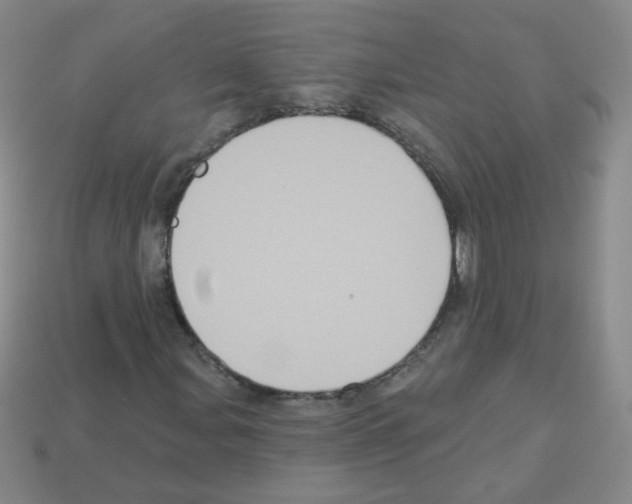 X0000112961107200910081040