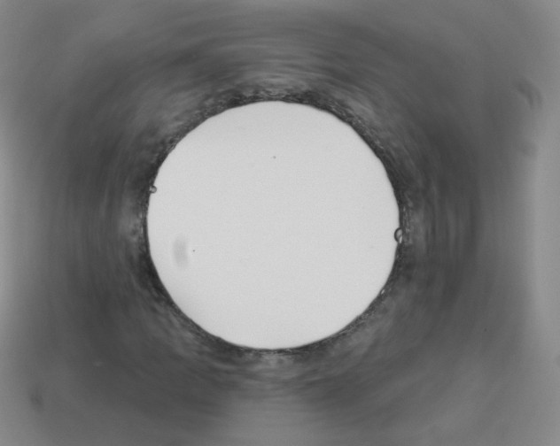 X0000112961109200910081040