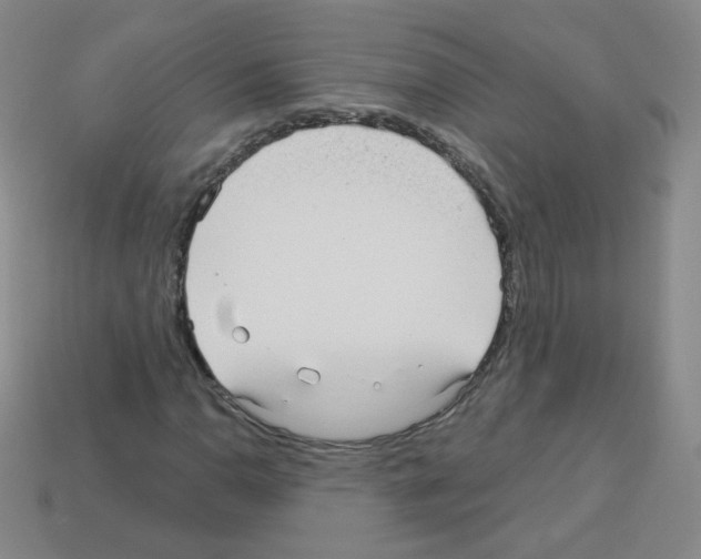 X0000112961110200910081040