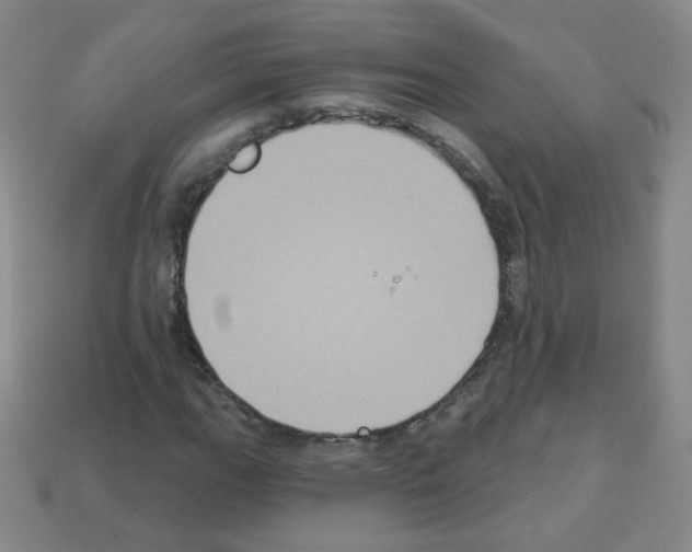 X0000112961111200910081040