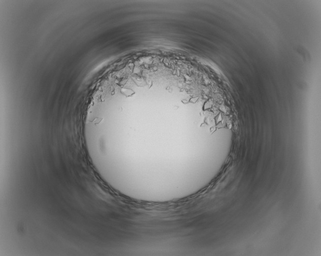 X0000112961112200910081040