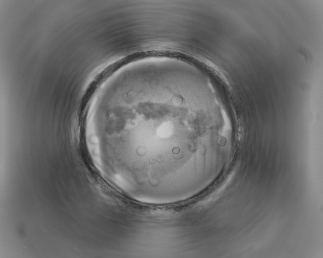 X0000112961117200910081040