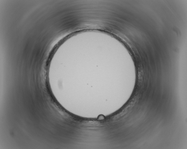 X0000112961119200910081040