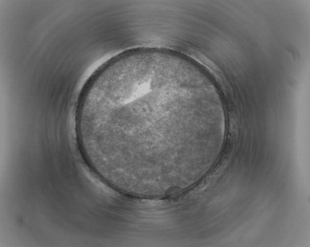 X0000112961120200910081040