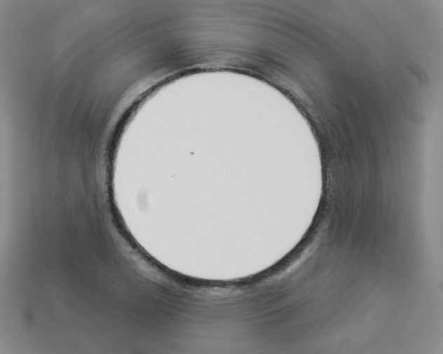 X0000112961122200910081040