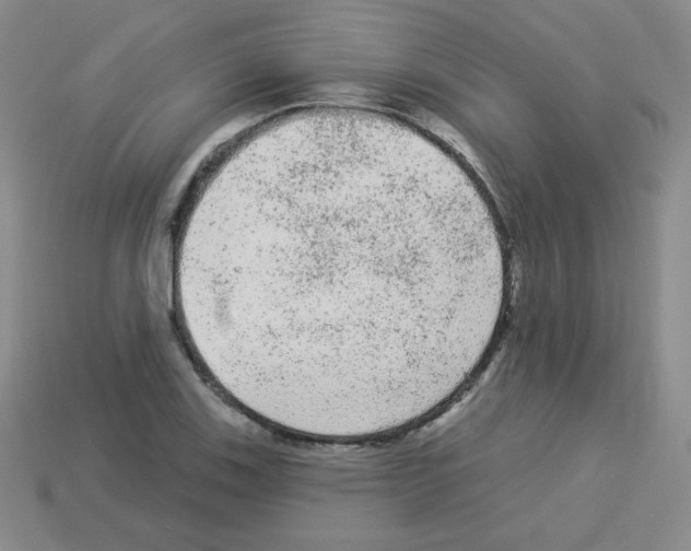 X0000112961123200910081040