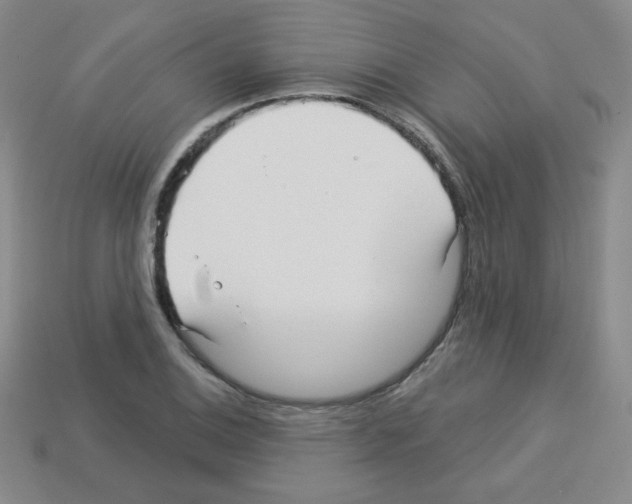 X0000112961124200910081040