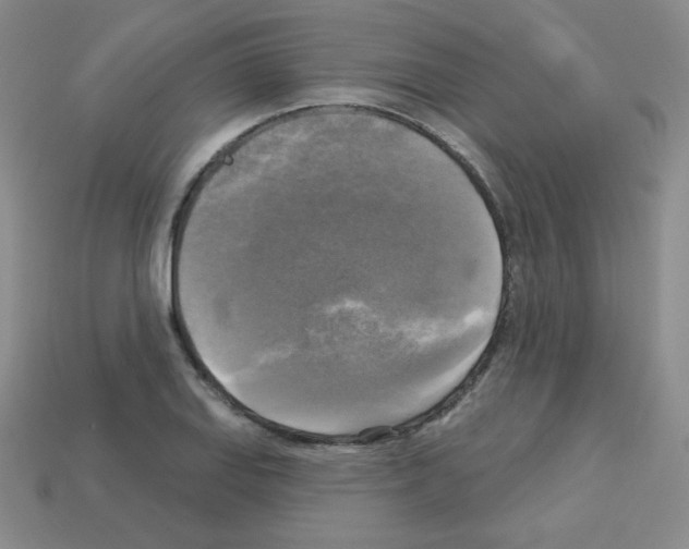 X0000112961127200910081040