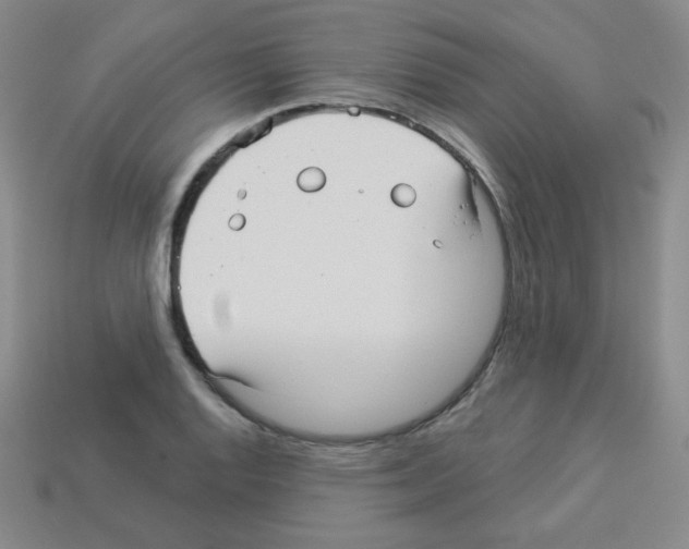 X0000112961128200910081040