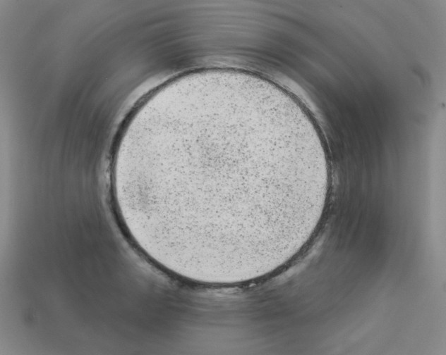 X0000112961133200910081040