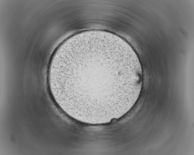 X0000112961134200910081040