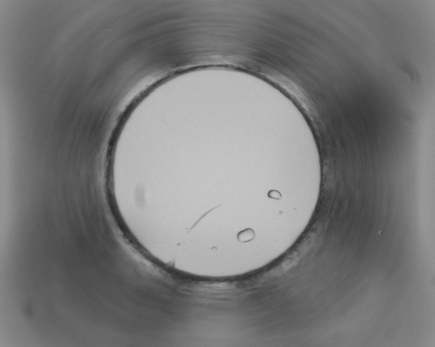 X0000112961135200910081040