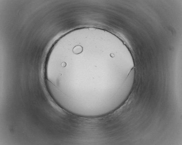 X0000112961136200910081040