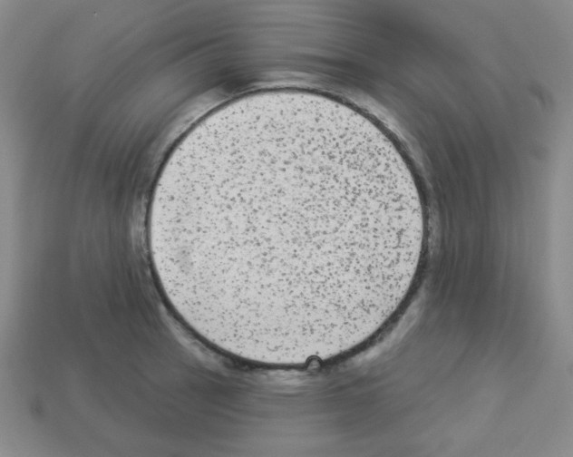 X0000112961137200910081040