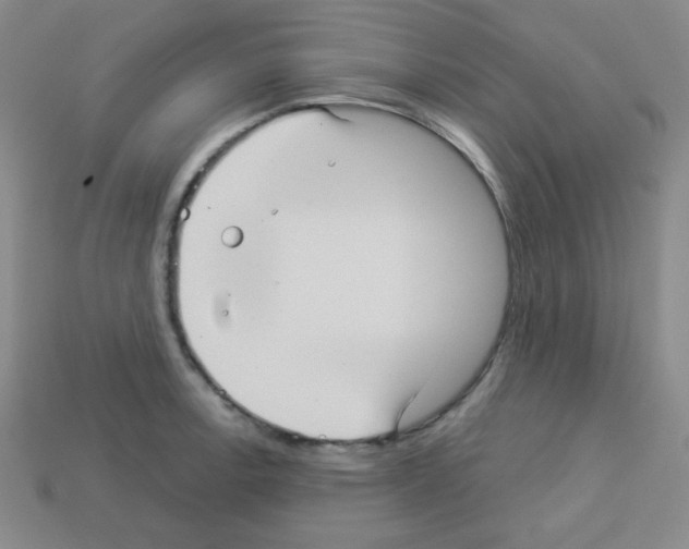 X0000112961138200910081040