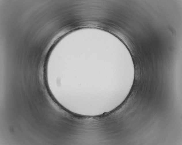 X0000112961139200910081040