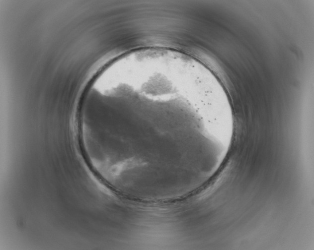 X0000112961141200910081040