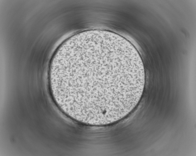 X0000112961142200910081040