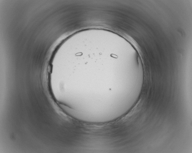 X0000112961144200910081040