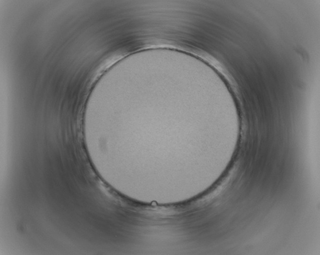 X0000112961145200910081040