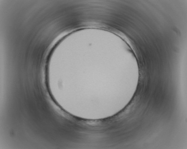 X0000112961147200910081040