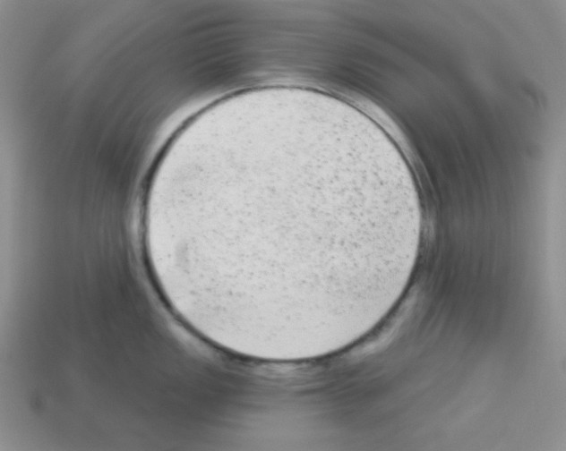 X0000112961149200910081040