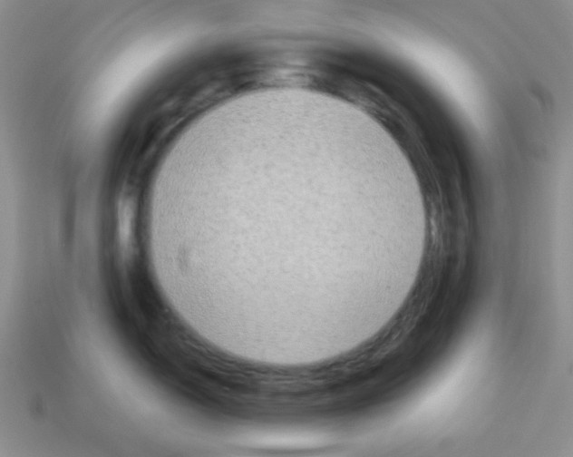 X0000112961150200910081040