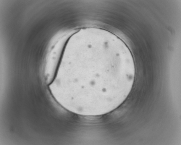 X0000112961152200910081040