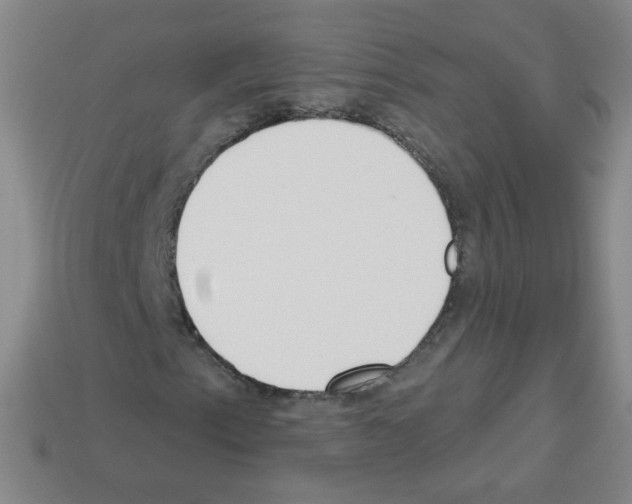 X0000112961153200910081040