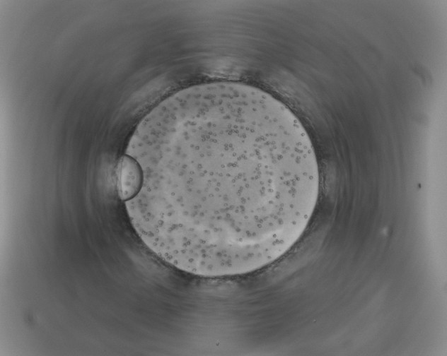 X0000112961154200910081040