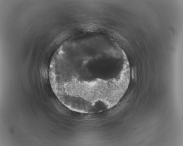 X0000112961155200910081040