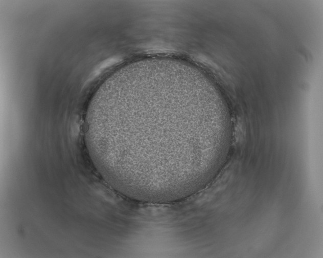 X0000112961157200910081039