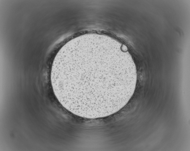 X0000112961159200910081039