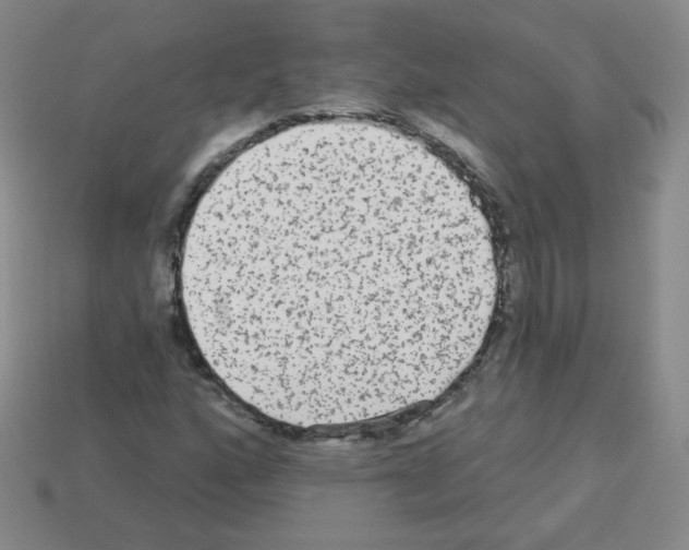 X0000112961160200910081039