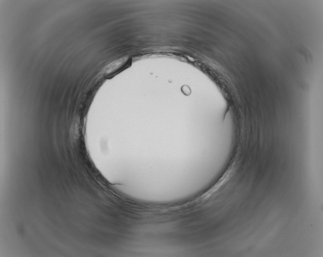 X0000112961161200910081039