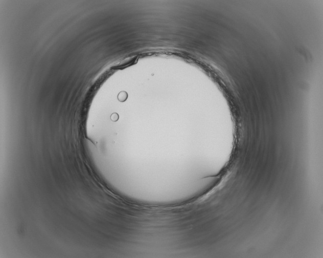 X0000112961162200910081039