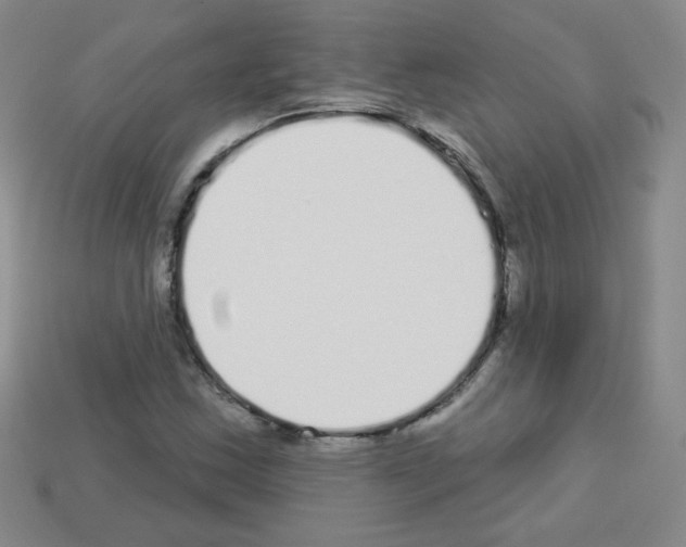 X0000112961163200910081039