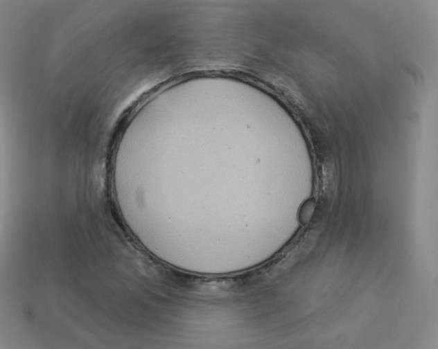 X0000112961165200910081039