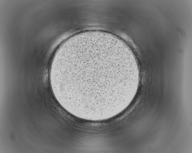 X0000112961167200910081039