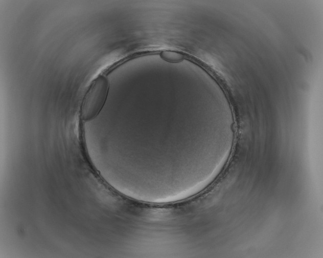 X0000112961173200910081039