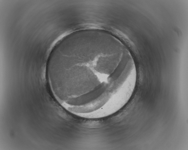 X0000112961174200910081039