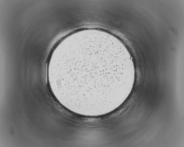 X0000112961175200910081039