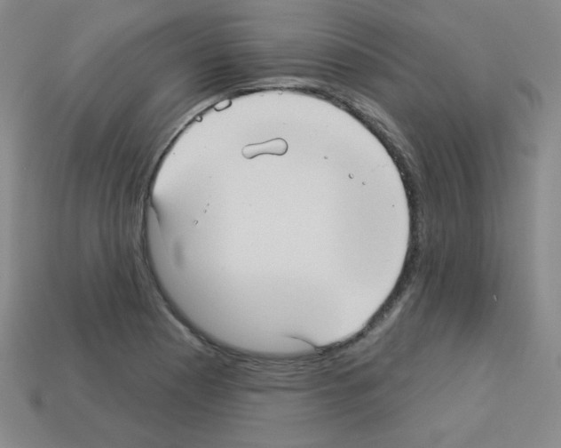 X0000112961177200910081039