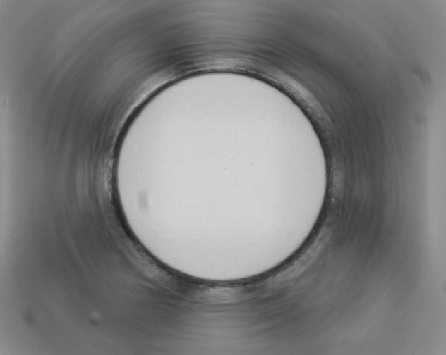 X0000112961178200910081039