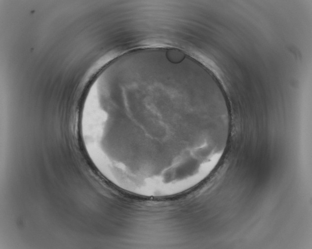 X0000112961179200910081039