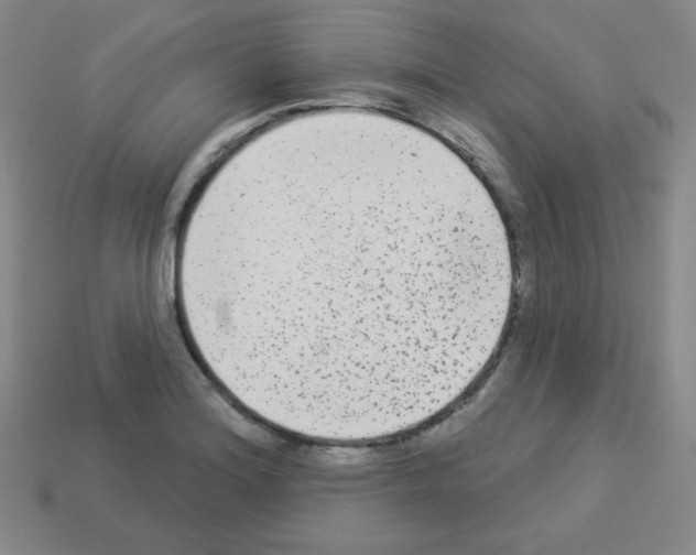 X0000112961180200910081039