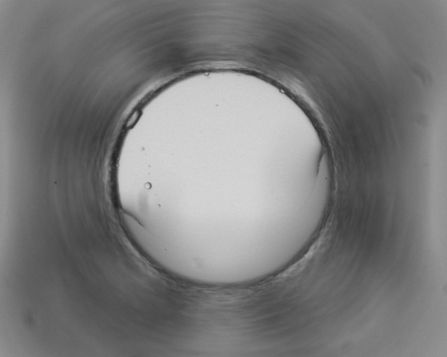 X0000112961181200910081039