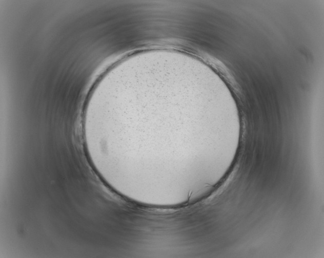 X0000112961184200910081039