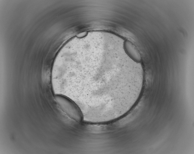 X0000112961185200910081039